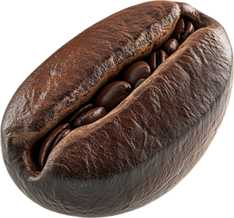 Coffee bean