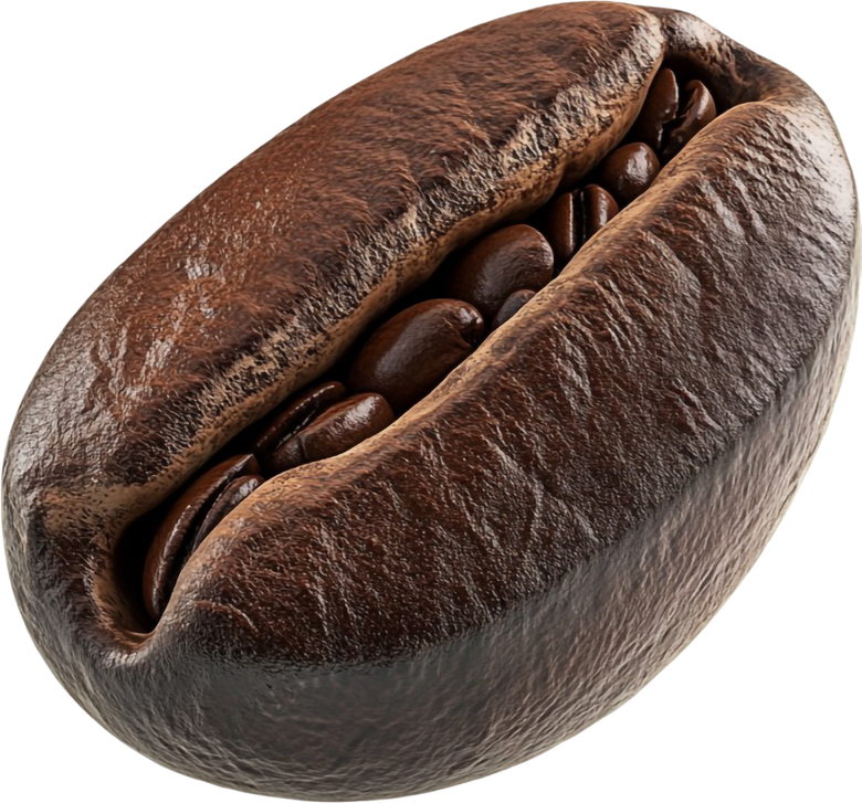 Coffee bean